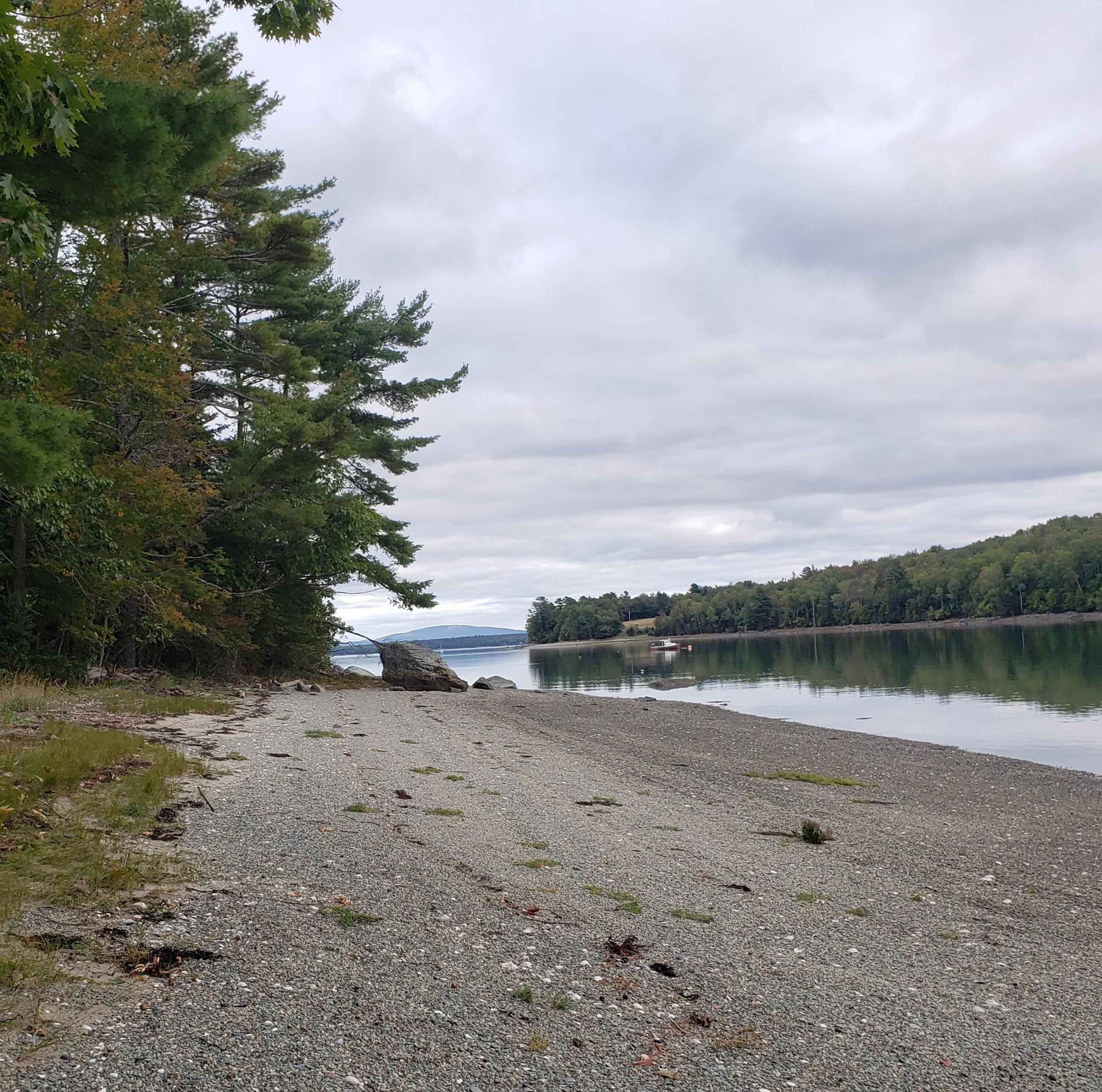 1118 Surry Road Surry, ME 04684 - Photo 19 of 33 20220921_172012