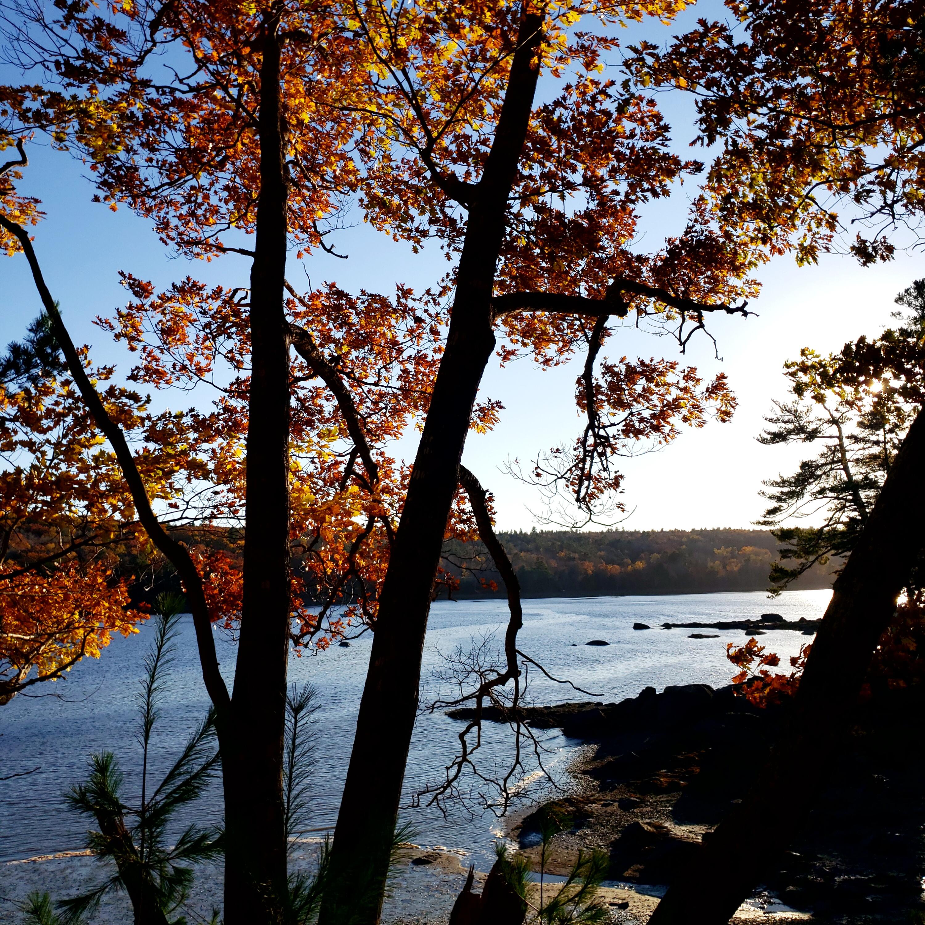 1118 Surry Road Surry, ME 04684 - Photo 26 of 33 20221021_163249_05