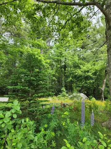 $488,000 | 1118 Surry Road, Surry, ME 04684