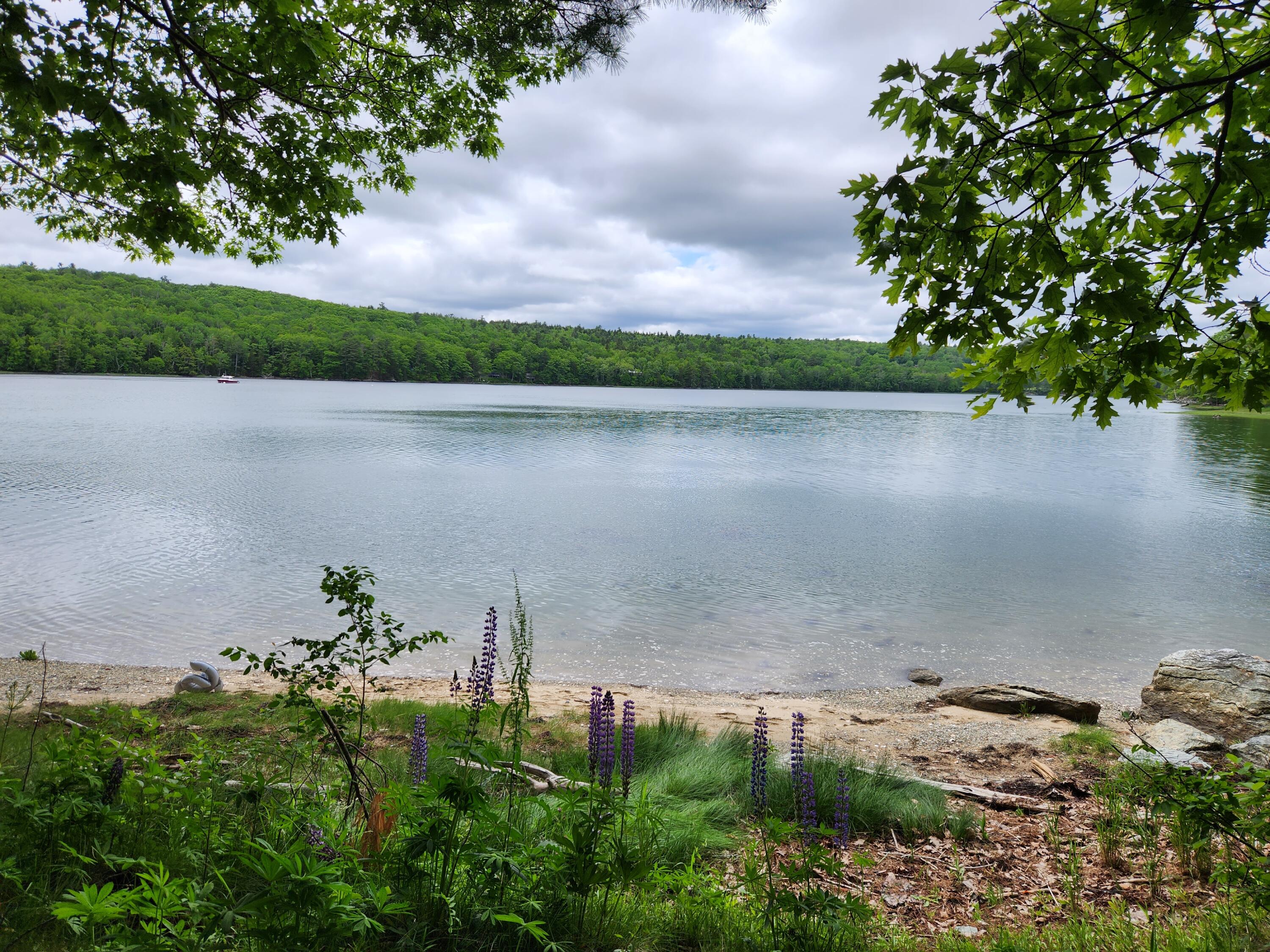 1118 Surry Road Surry, ME 04684 - Photo 29 of 33 20230619_124133