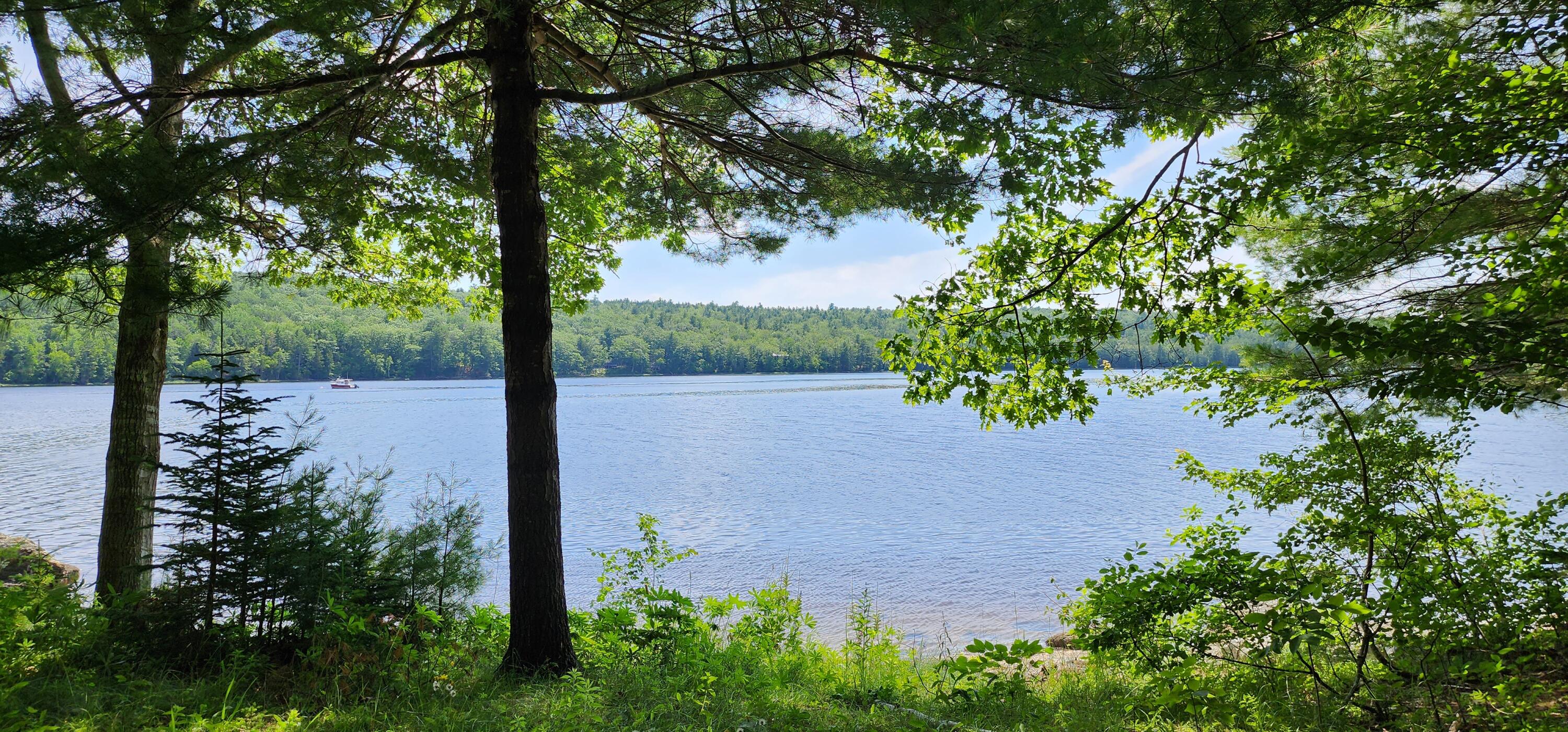 1118 Surry Road Surry, ME 04684 - Photo 30 of 33 20230708_143042