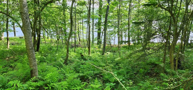 $488,000 | 1118 Surry Road, Surry, ME 04684