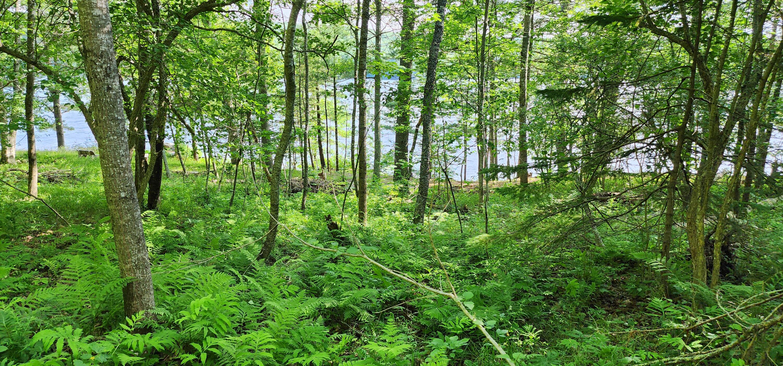 1118 Surry Road Surry, ME 04684 - Photo 8 of 33 20230708_162025