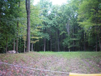 400 Tompkins Road Jefferson, OH 44047 - Photo 1 of 1 Gallery Image 1