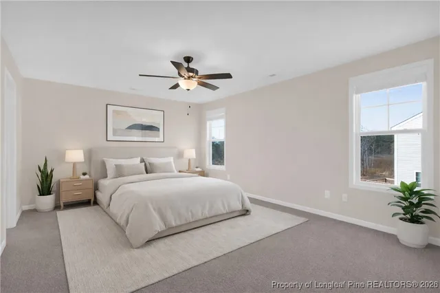 a bedroom with a large bed potted plant and a window