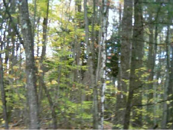9999 Old Swanzey Road Chesterfield, NH 03462 - Photo 1 of 1