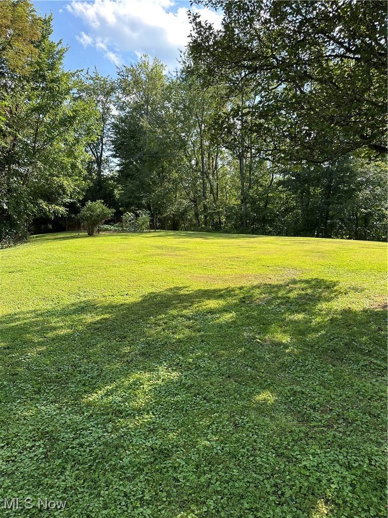 48864 Dry Ridge Road Clarington, OH 43915 - Photo 44 of 49 View of grassy yard