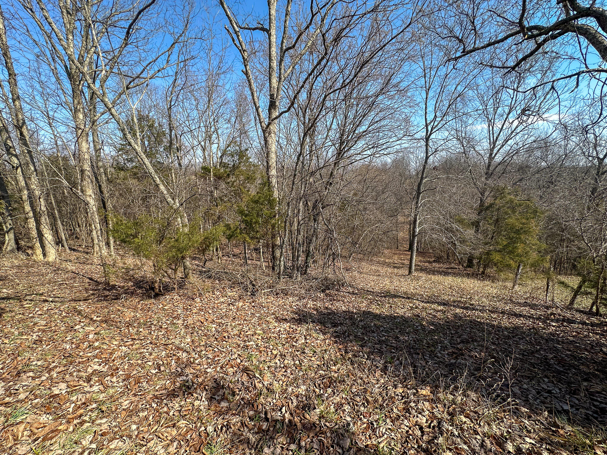 58 Beckett Road Berry, KY 41003 - Photo 23 of 38 Patrick_23