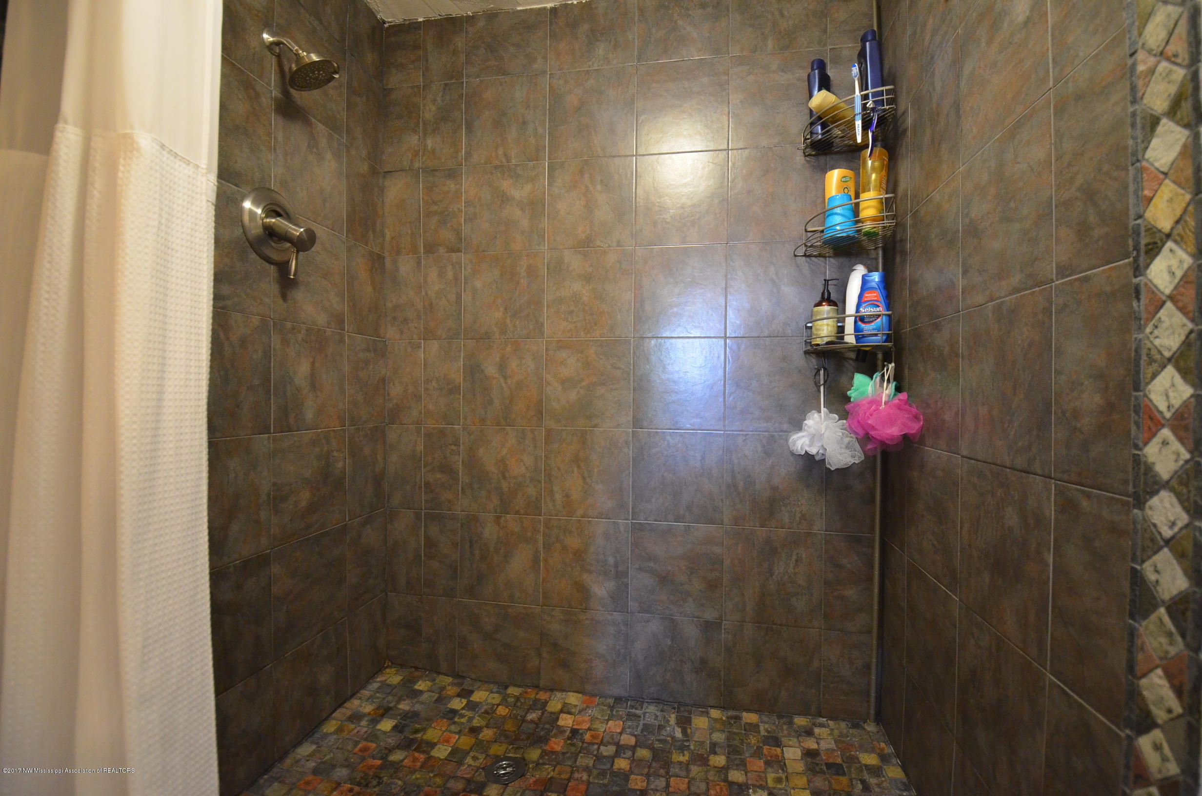 10671 Stark Acres Road Olive Branch, MS 38654 - Photo 16 of 30 Master Shower
