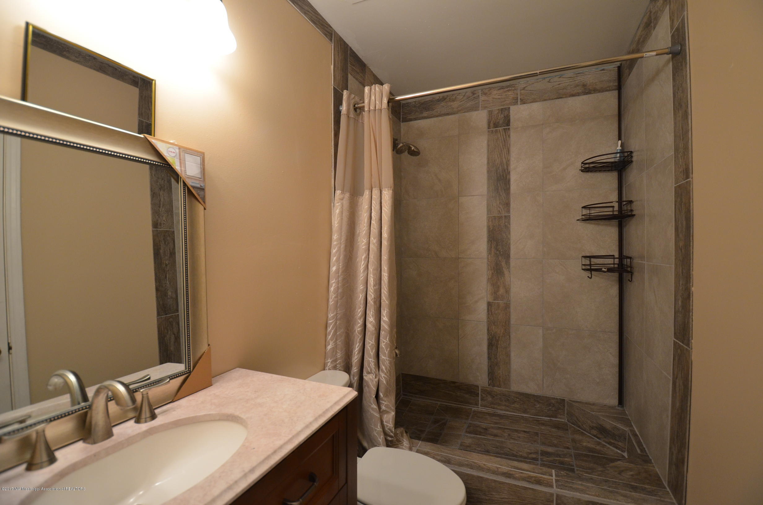 10671 Stark Acres Road Olive Branch, MS 38654 - Photo 20 of 30 Hall Bathroom
