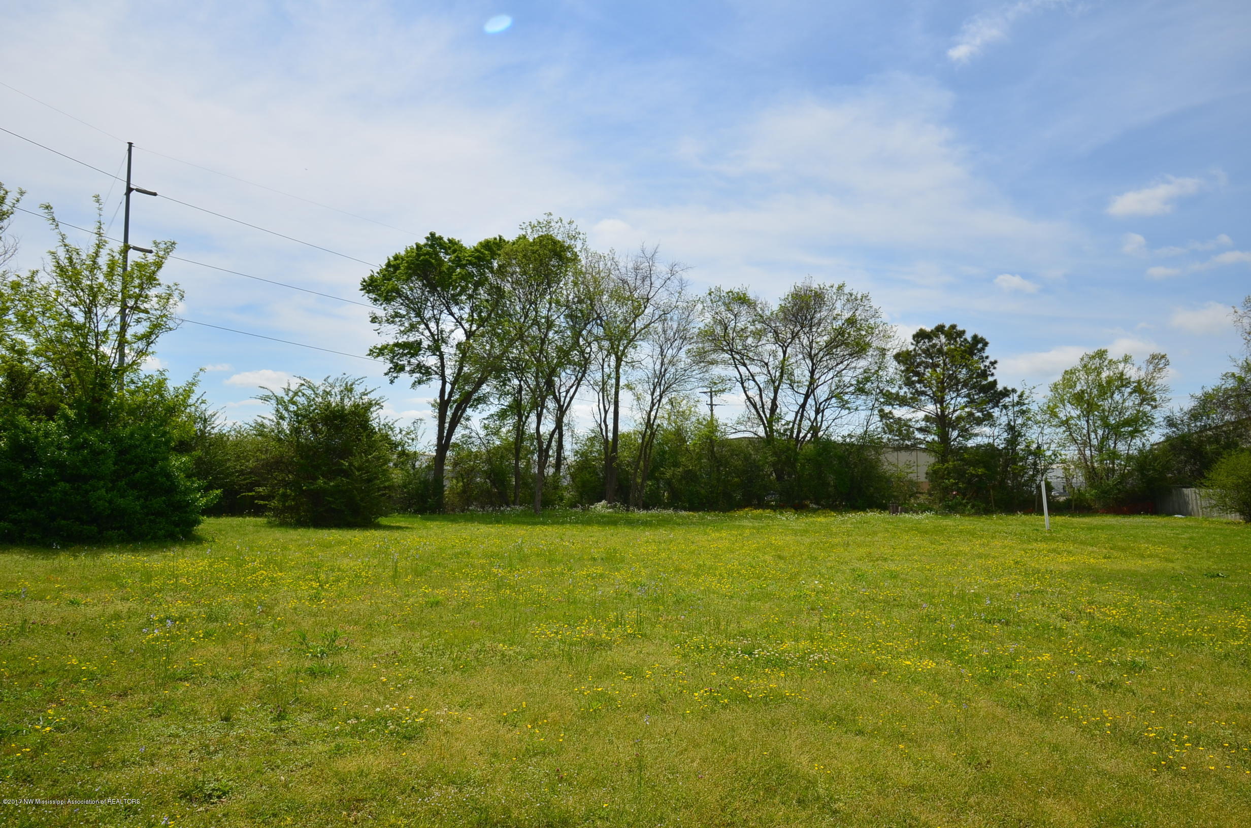 10671 Stark Acres Road Olive Branch, MS 38654 - Photo 28 of 30 Back Yard