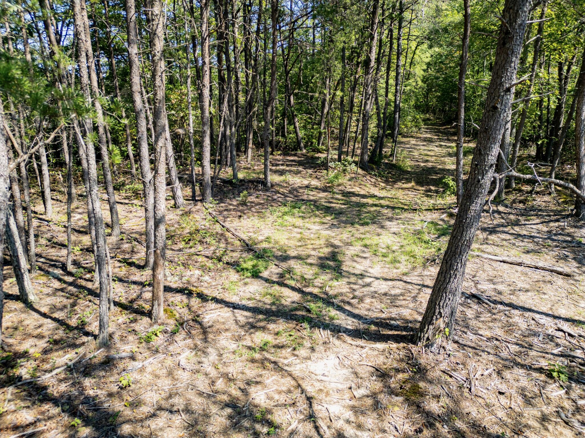 Highlands Of Rrg Lot 646 Highlands Of Rrg Trail Zoe, KY 41397 - Photo 17 of 19 DJI_0718-Enhanced-SR