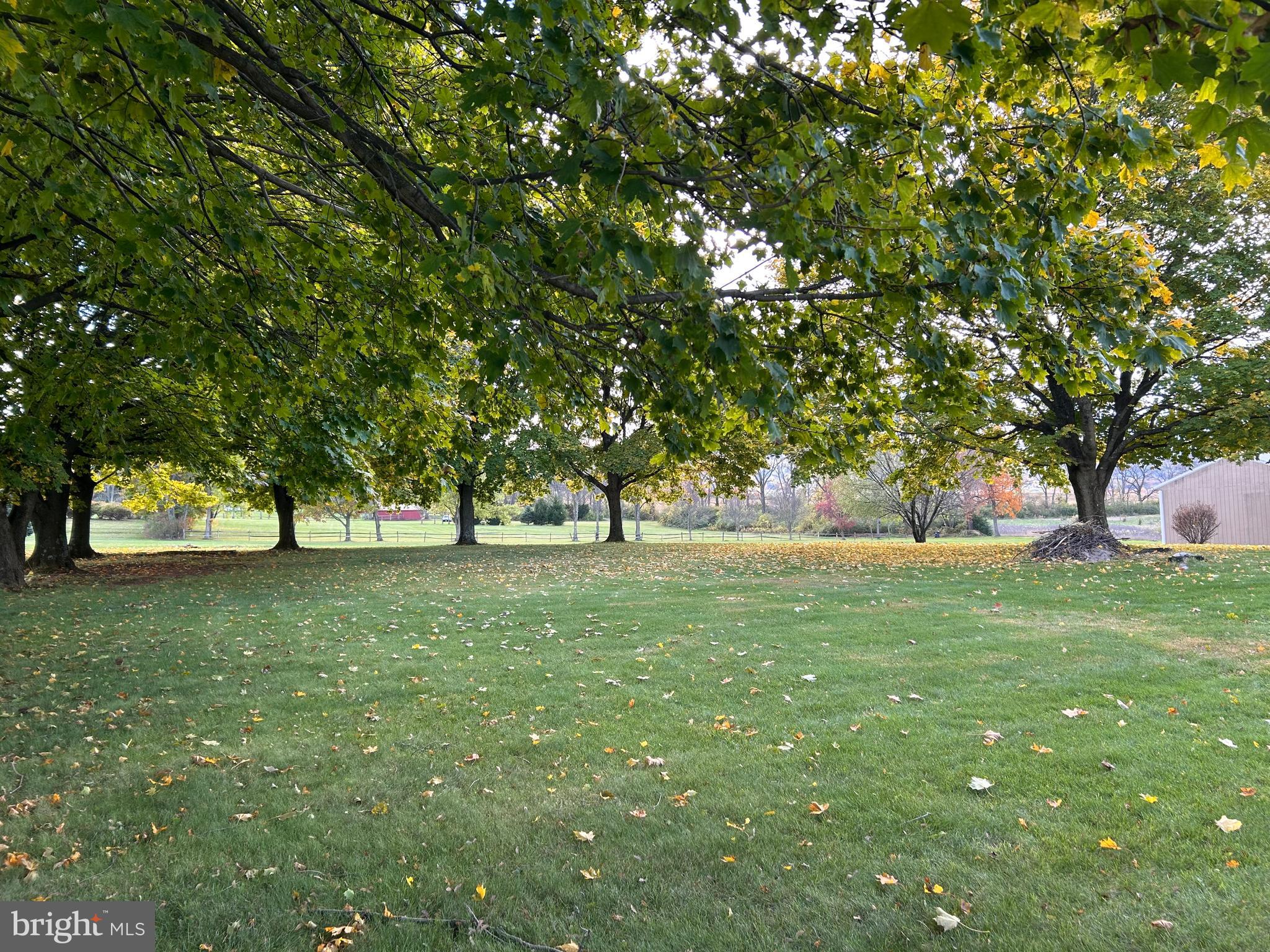 2068 Earlystown Road Centre Hall, PA 16828 - Photo 57 of 62 a huge green field with lots of trees