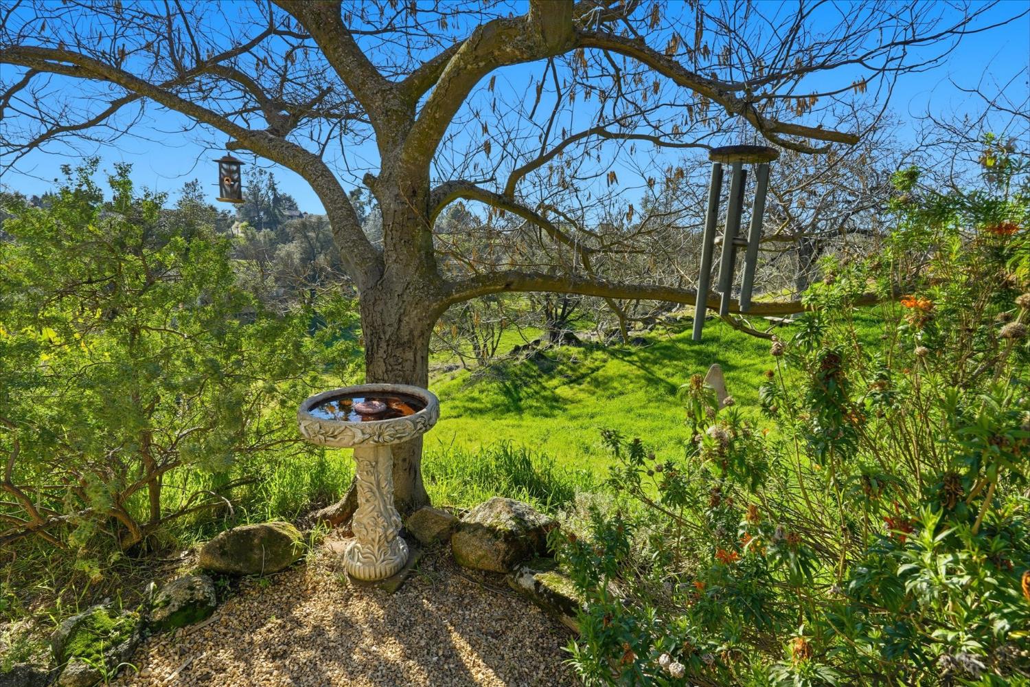 28924 Limestone Way Coarsegold, CA 93614 - Photo 32 of 39