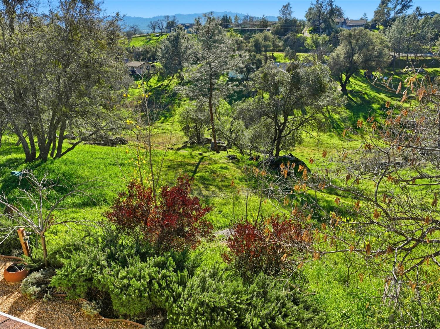 28924 Limestone Way Coarsegold, CA 93614 - Photo 37 of 39