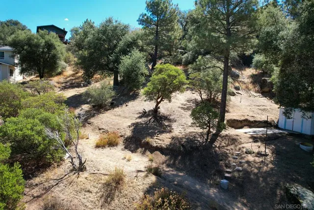 a view of backyard with a barn and large trees