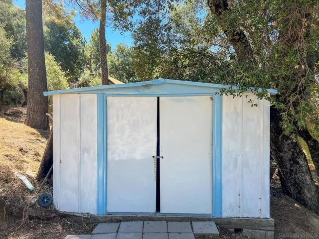 a view of a tree in a yard