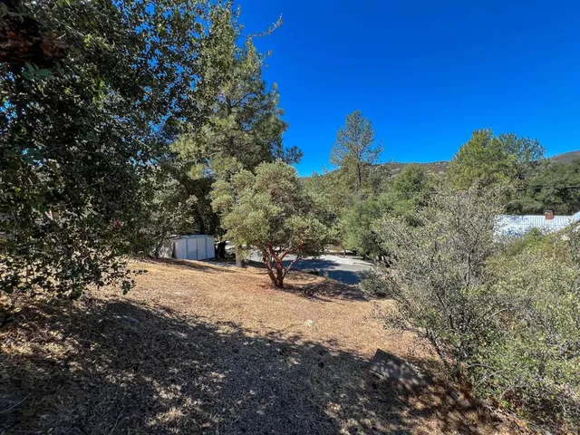 a view of a yard with an tree