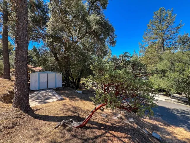 a view of a tree with a yard
