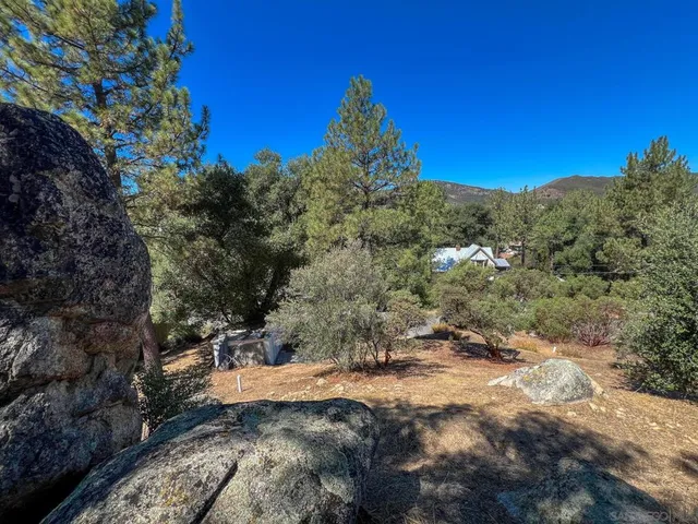 a view of a yard with a tree