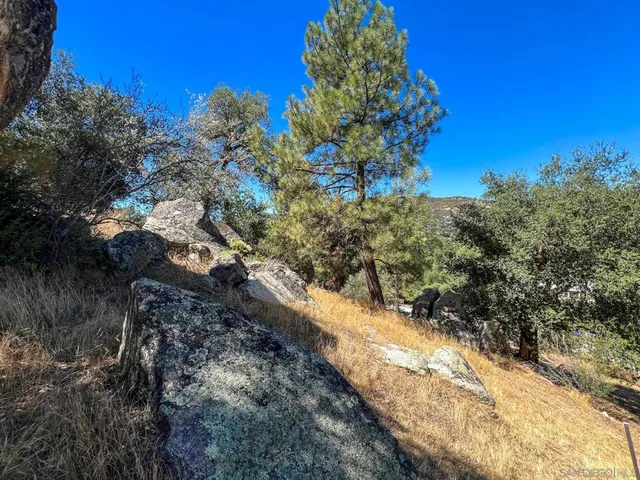 a view of a city with lush green forest