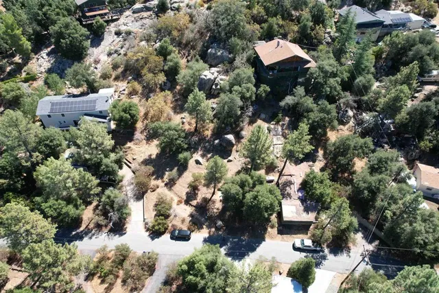 a view of a dry yard with trees
