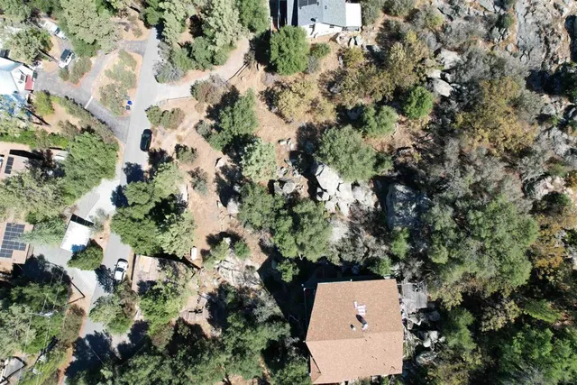 a view of a tree with a yard