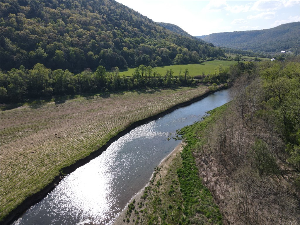Lot 3 McChesney Road Cameron, NY 14819 - Photo 17 of 21