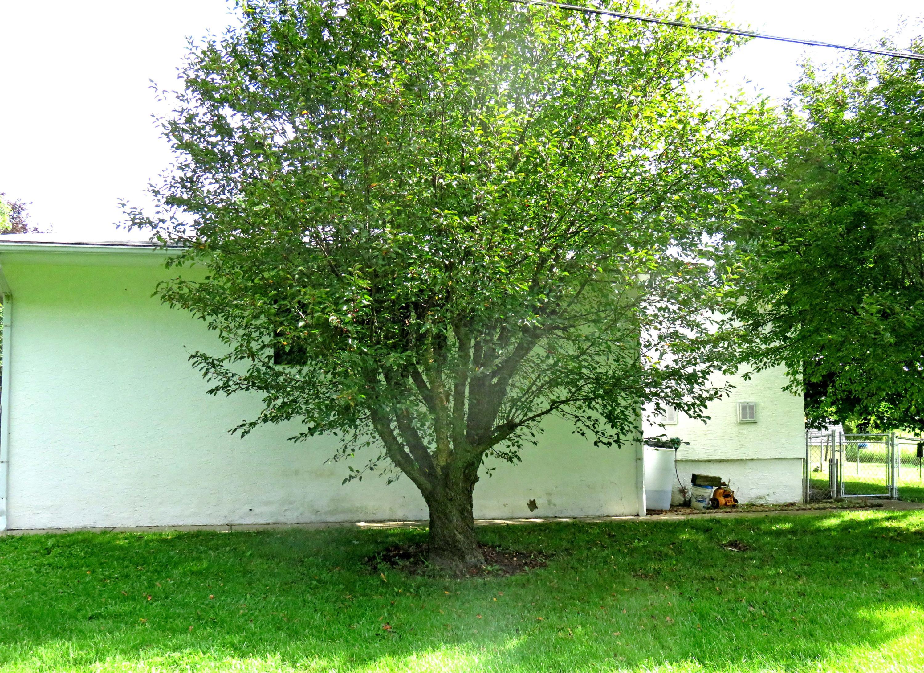 176 Alton Road Galloway, OH 43119 - Photo 4 of 26 Gallery Image 4