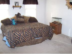 2430 Tinkling Spring Road Stuarts Draft, VA 24477 - Photo 10 of 12 Gallery Image 10