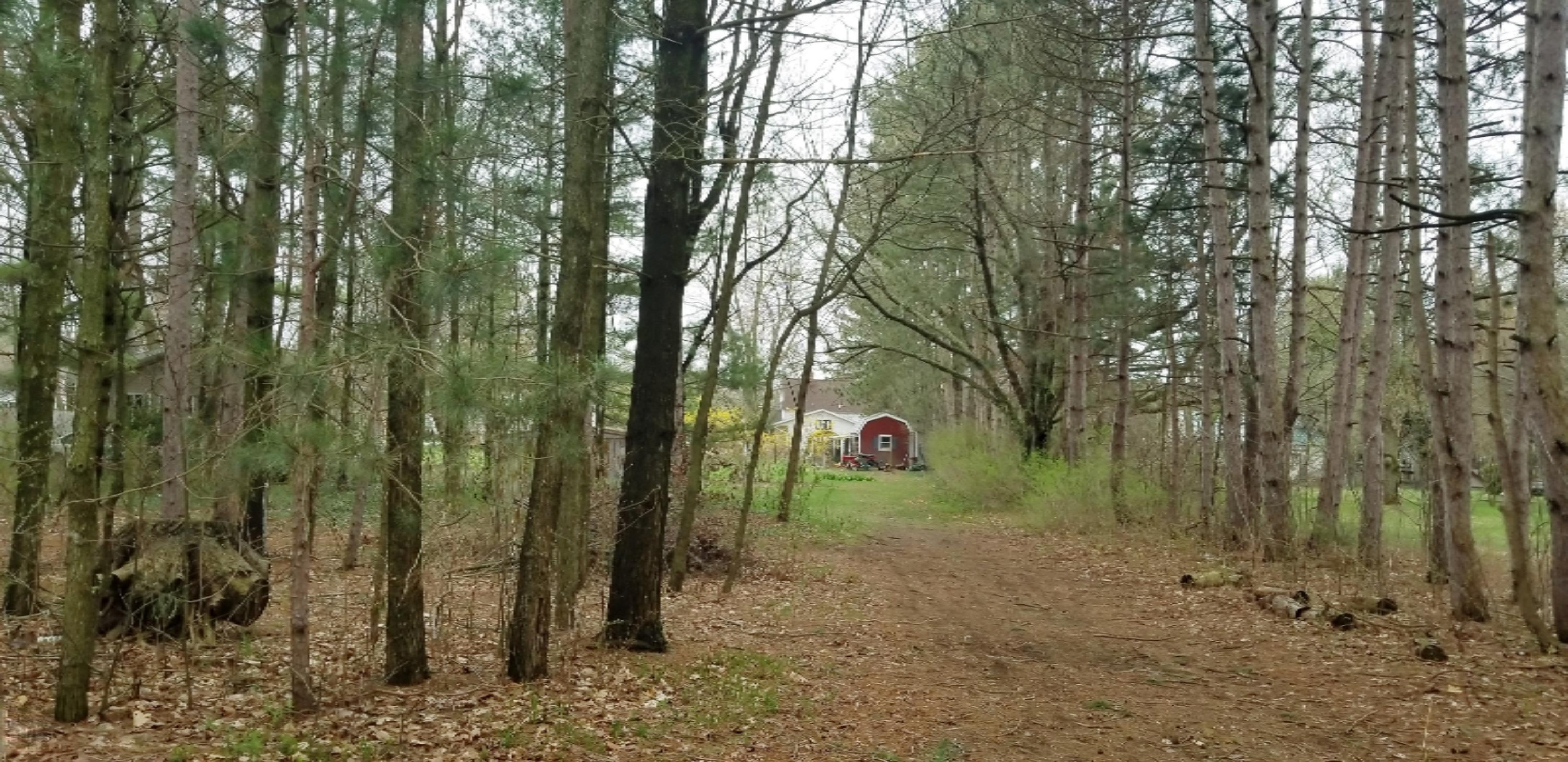 138 Porter Road Muskegon, MI 49441 - Photo 19 of 21 20180506_114727