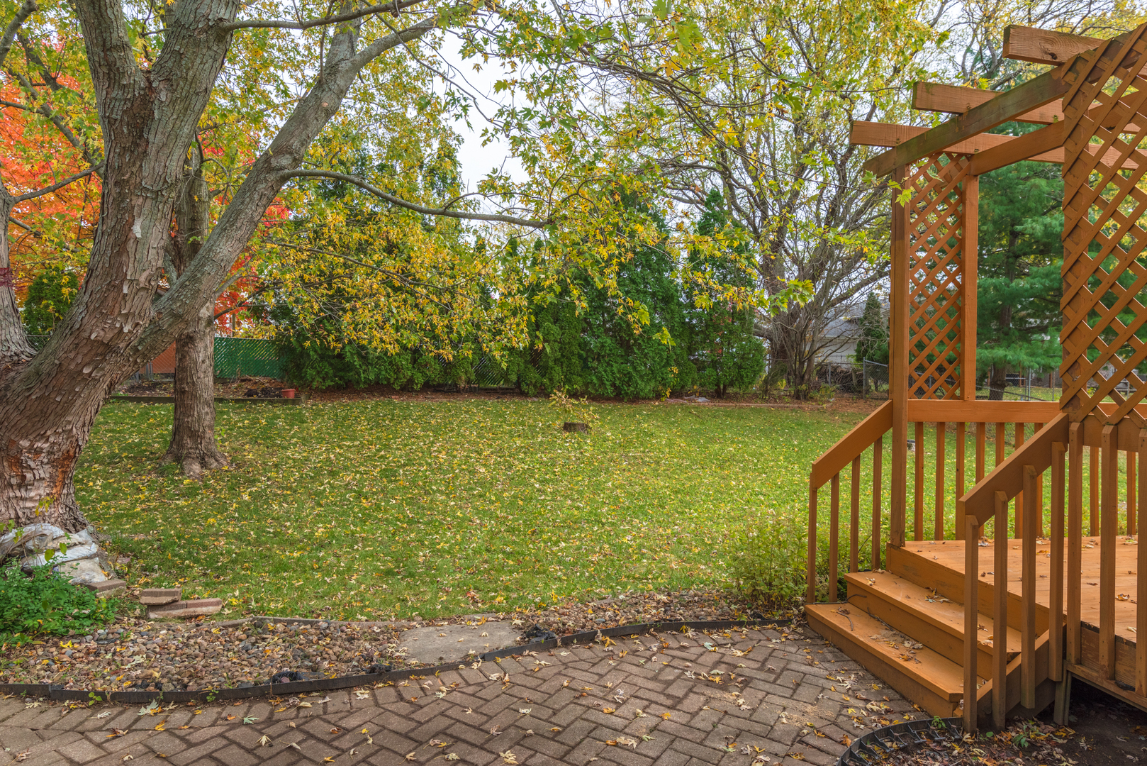 116 North Blair Drive Normal, IL 61761 - Photo 41 of 41 a view of a yard with large trees