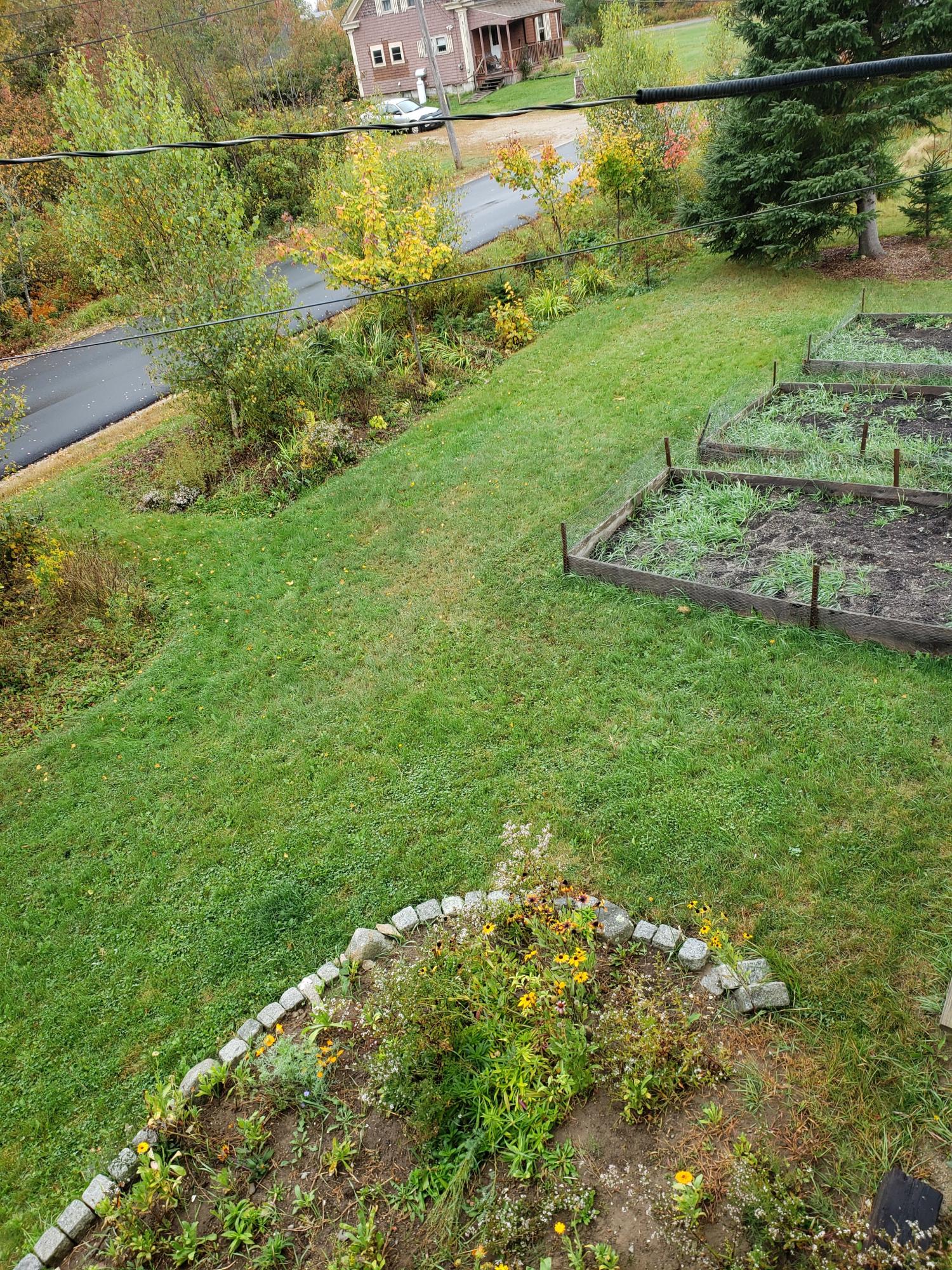 12 Rim Road Milbridge, ME 04658 - Photo 23 of 30 front yard 1
