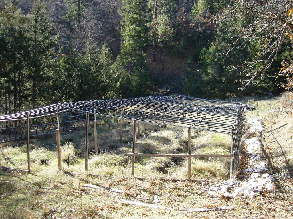 20 Acres Scarface Road Gazelle, CA 96034 - Photo 20 of 34 Gallery Image 20