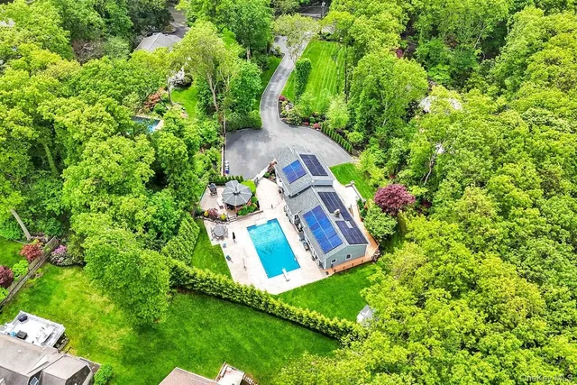 a view of a yard with plants