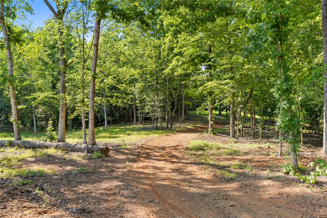 75 Hidden Acres Trail Pelzer, SC 29669 - Photo 15 of 32