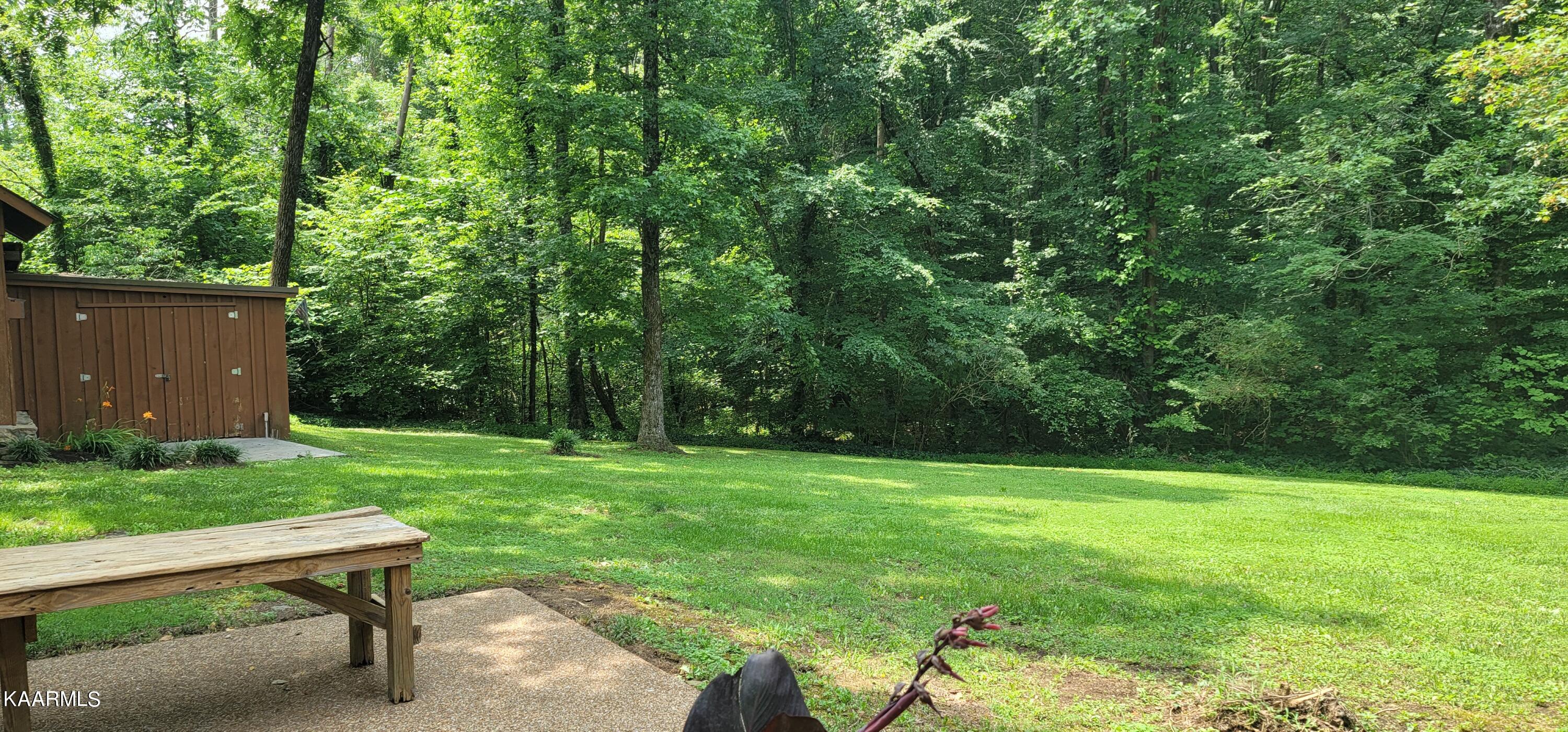 5936 Lanier Road Maryville, TN 37801 - Photo 24 of 40 Backyard