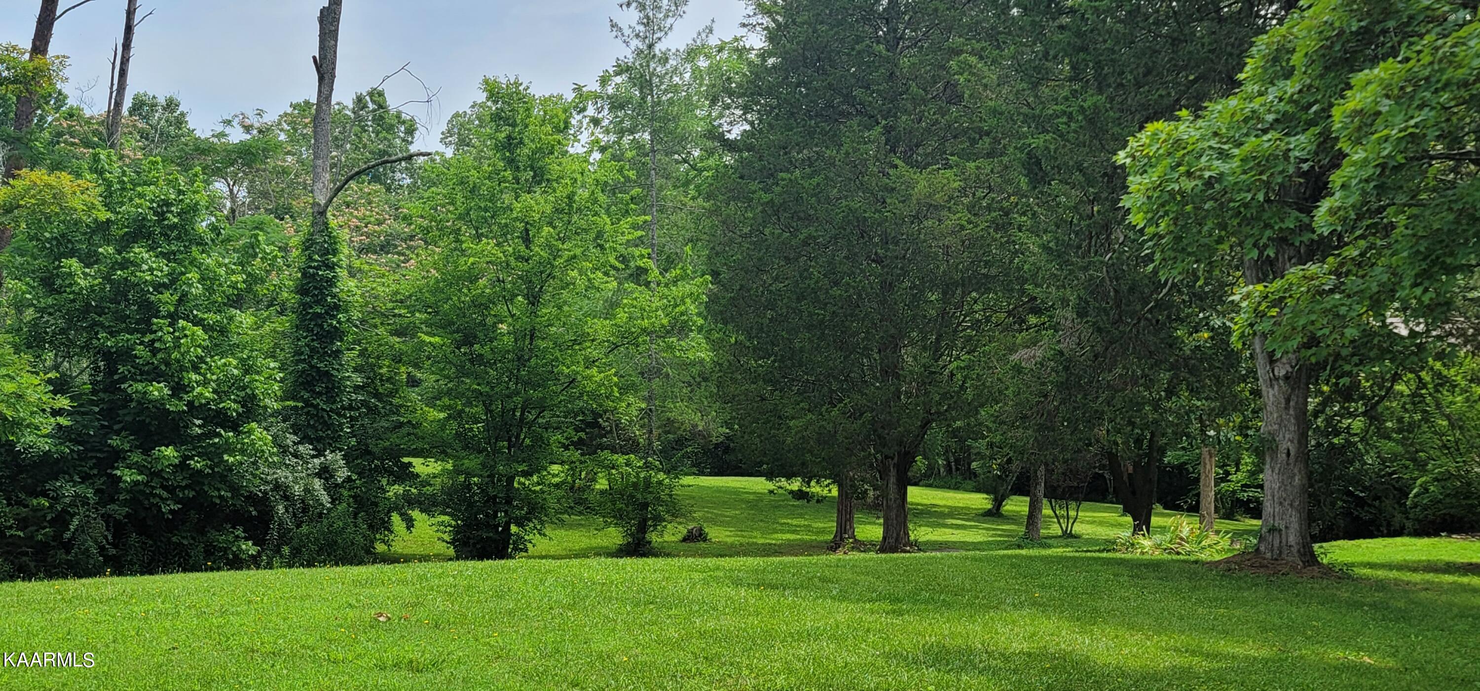 5936 Lanier Road Maryville, TN 37801 - Photo 33 of 40 Yard