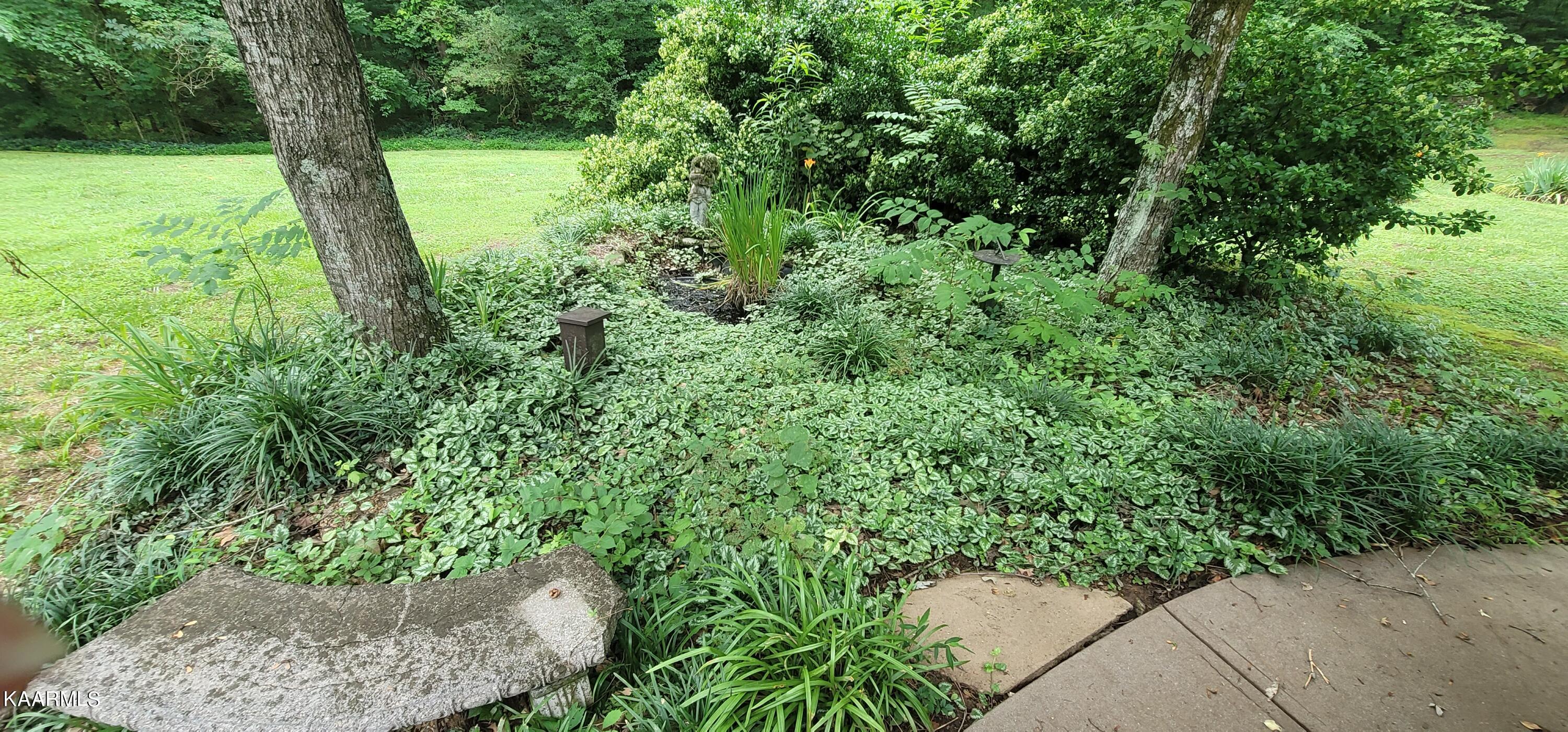 5936 Lanier Road Maryville, TN 37801 - Photo 39 of 40 Pond