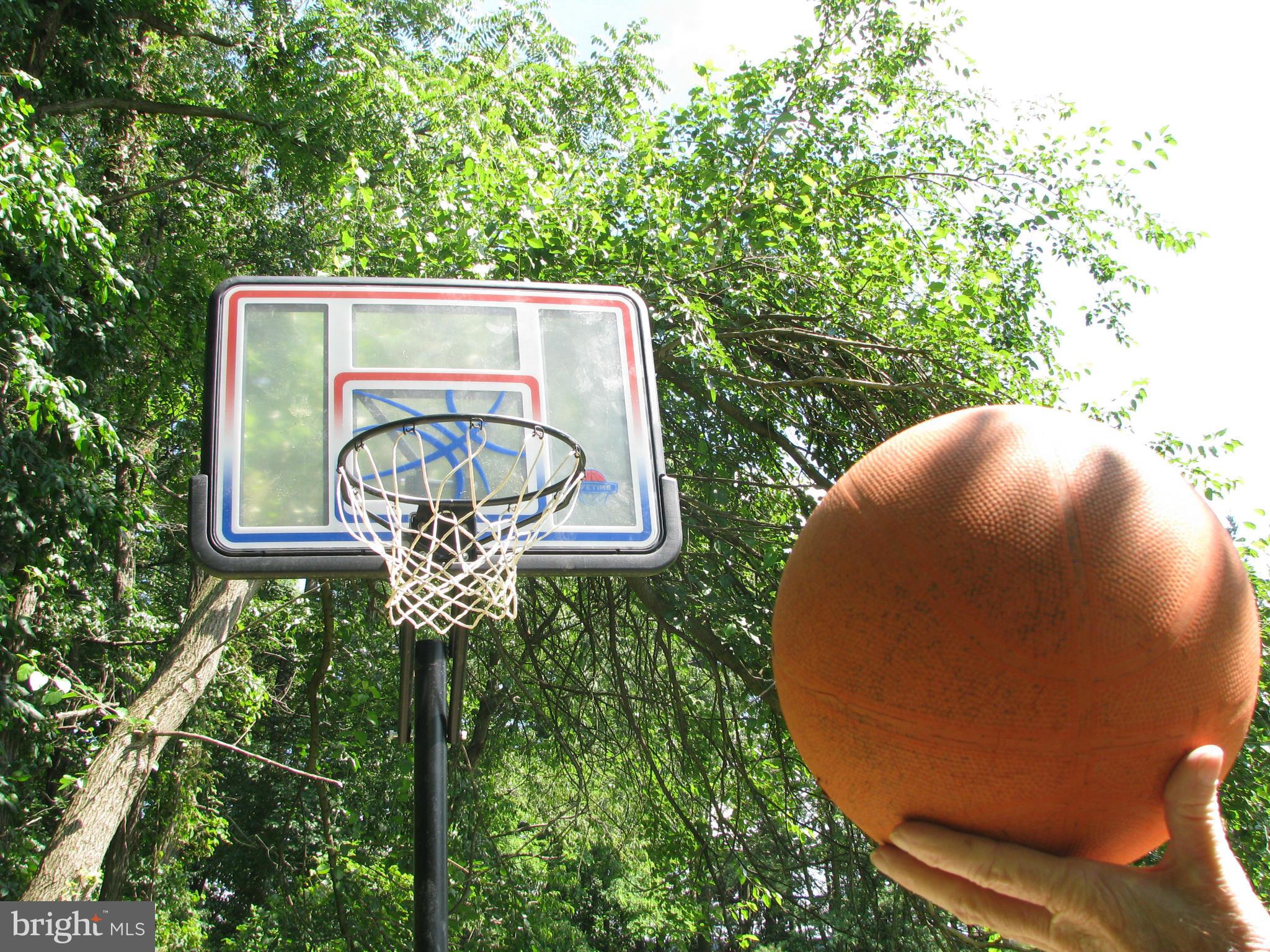 1953 Bachmans Valley Road Manchester, MD 21102 - Photo 23 of 23 basket ball net