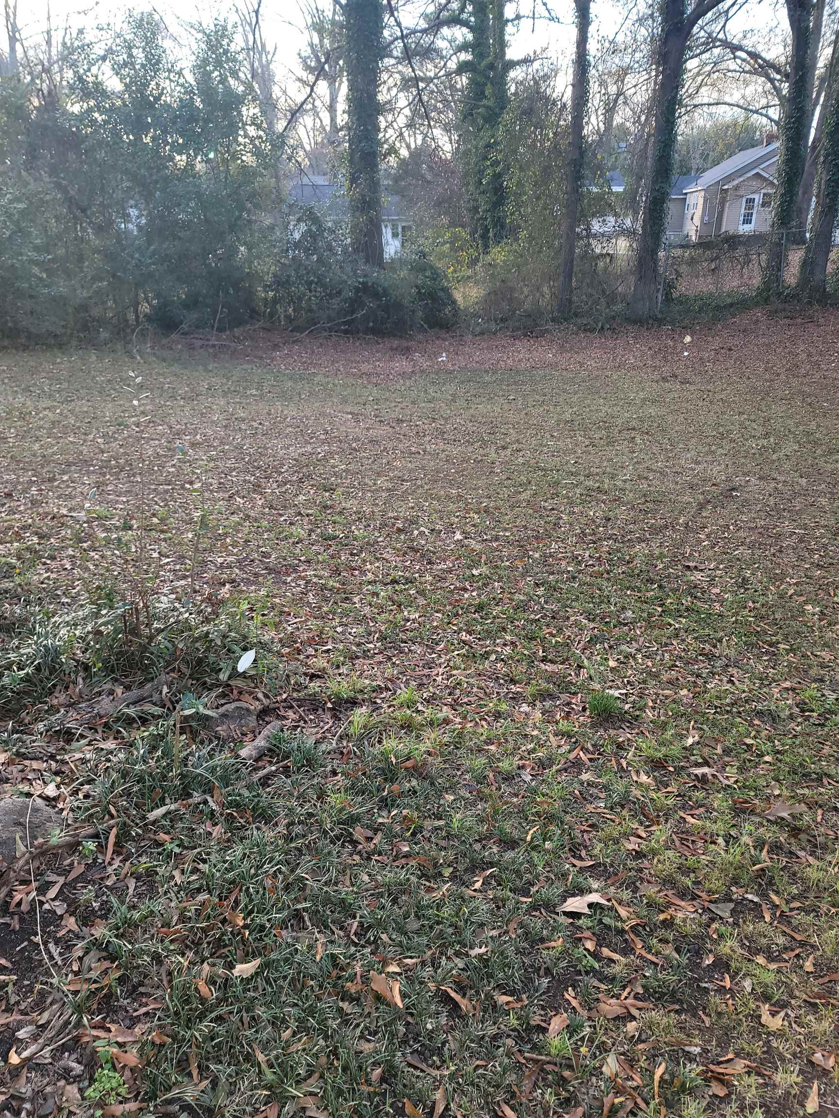 110 Scott Street Union, SC 29379 - Photo 4 of 15