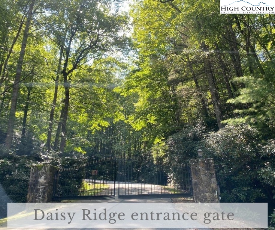 Daisy Ridge Road Banner Elk, NC 28604 - Photo 3 of 10 Gallery Image 3