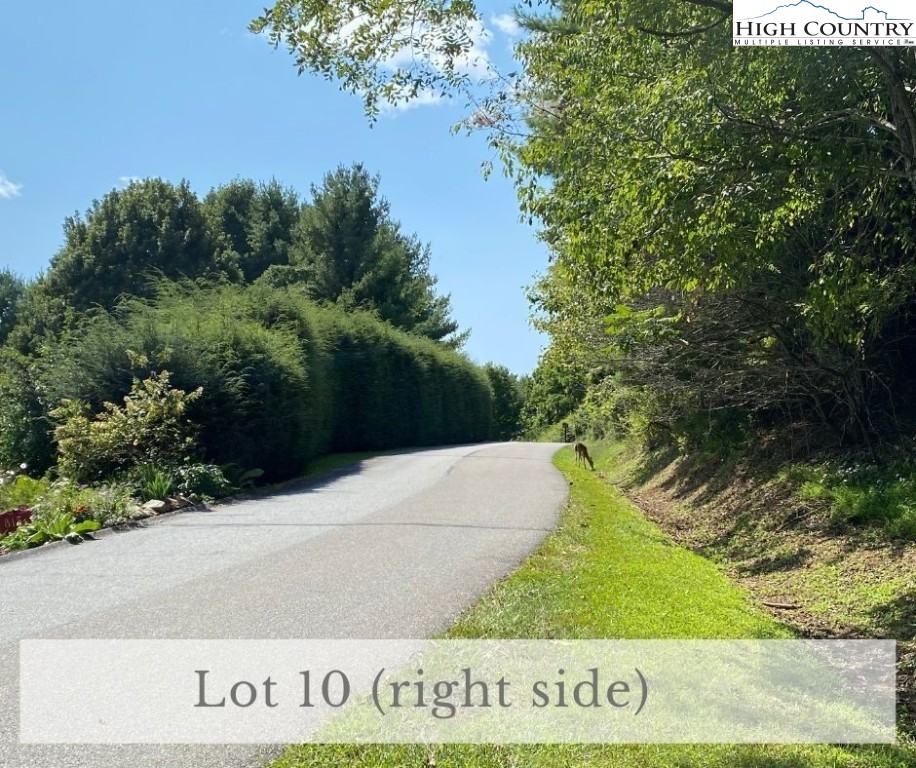 Daisy Ridge Road Banner Elk, NC 28604 - Photo 5 of 10 Gallery Image 5