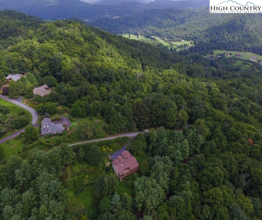 Daisy Ridge Road Banner Elk, NC 28604 - Photo 10 of 10 Gallery Image 10