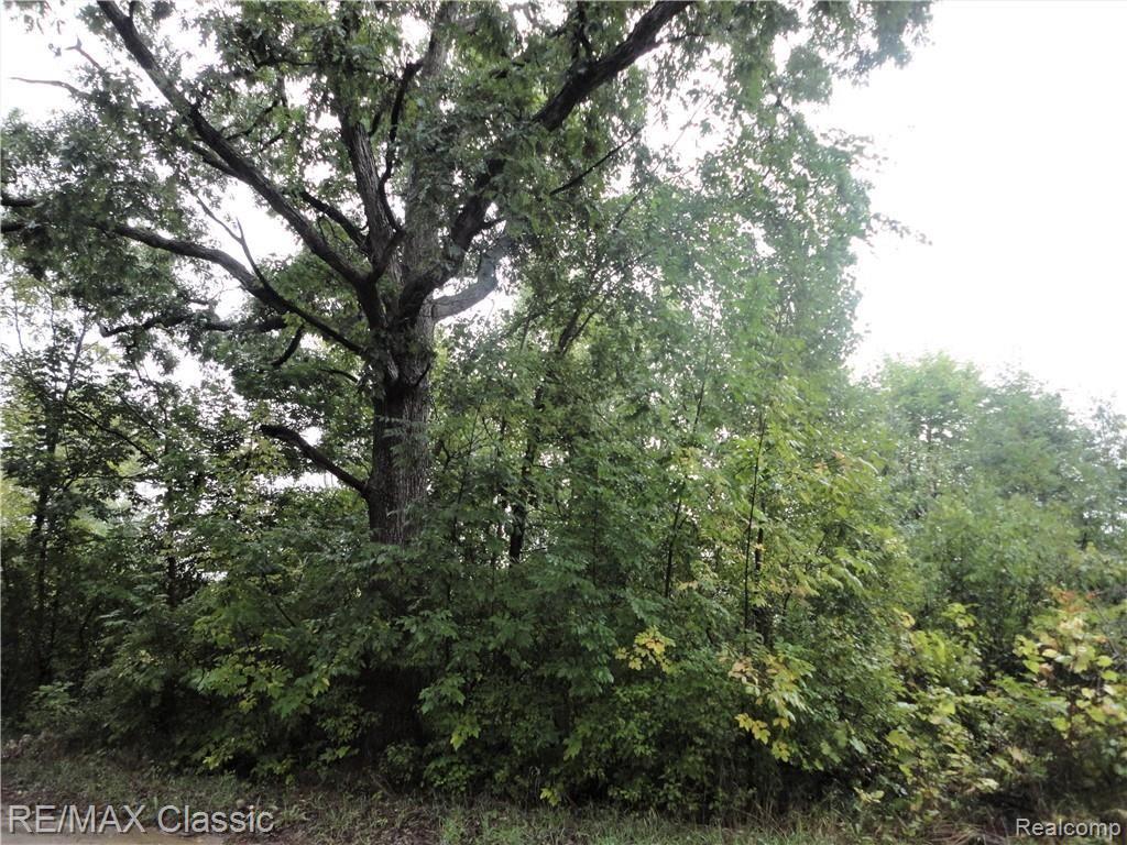 Vacant Holtforth Road Fenton, MI 48430 - Photo 1 of 2