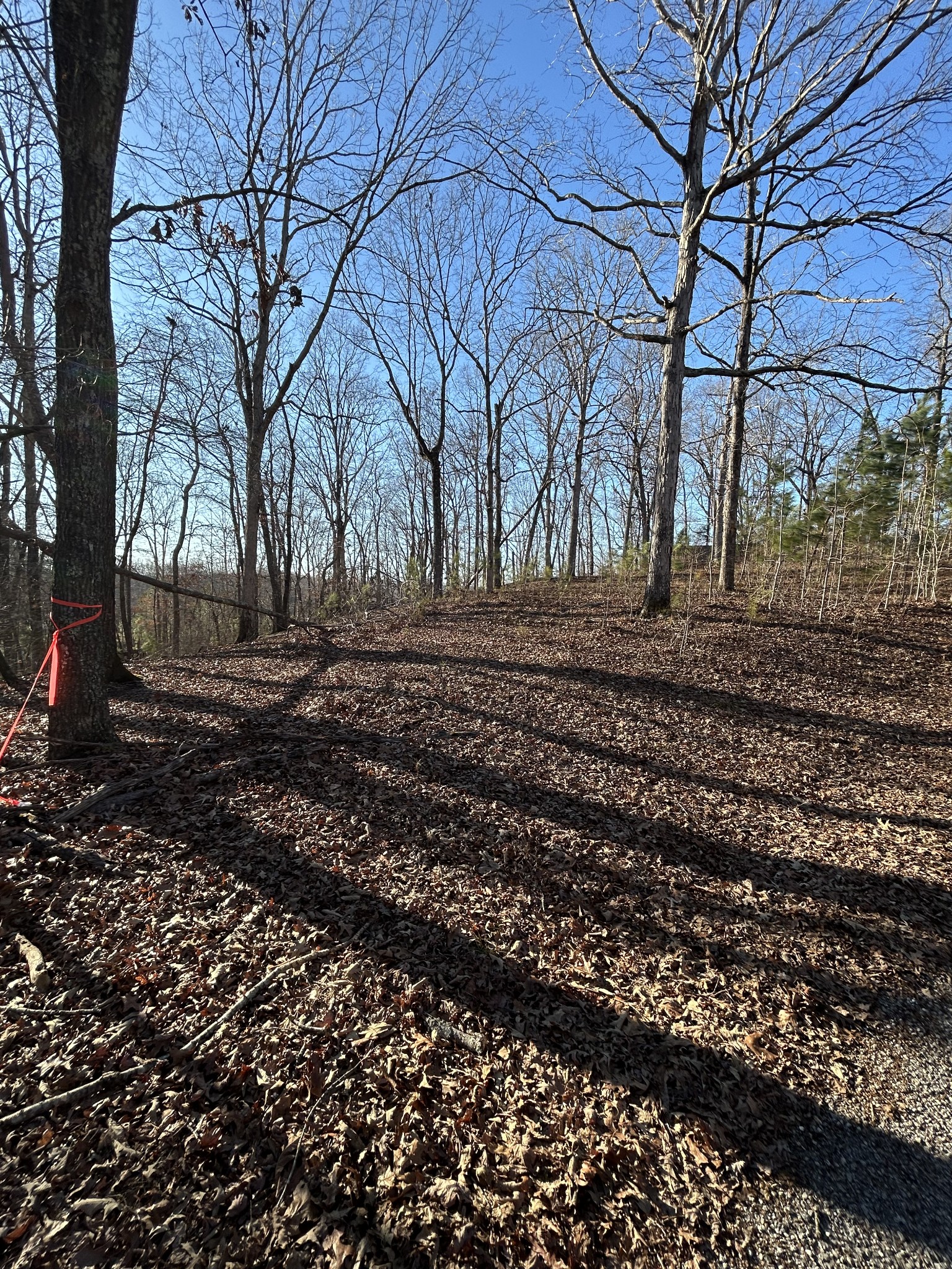 0 Snow Road Big Sandy, TN 38221 - Photo 5 of 5