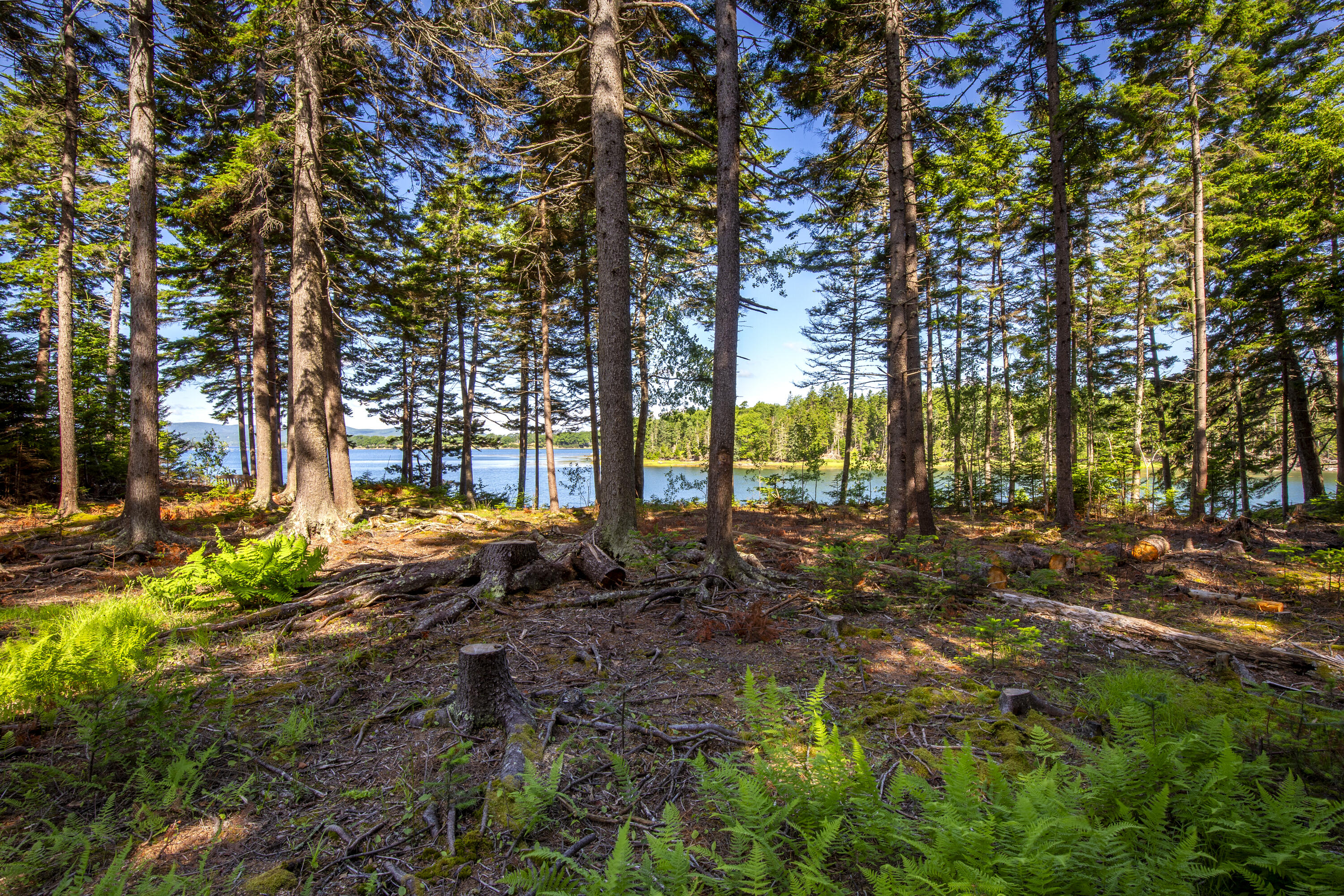 M15-l20-tbd Golf Club Road Islesboro, ME 04848 - Photo 22 of 41