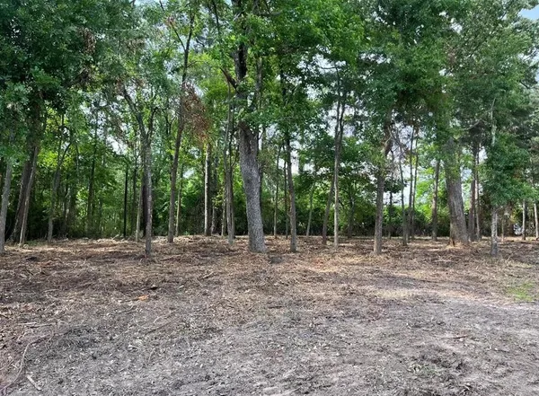a view of outdoor space with trees