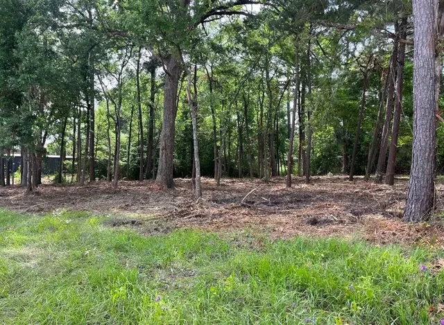 a view of outdoor space with trees