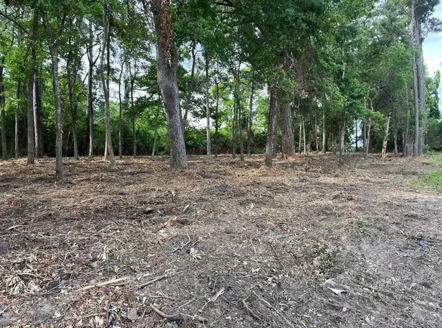 a view of outdoor space with trees